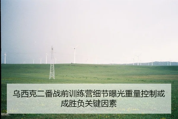 乌西克二番战前训练营细节曝光重量控制或成胜负关键因素